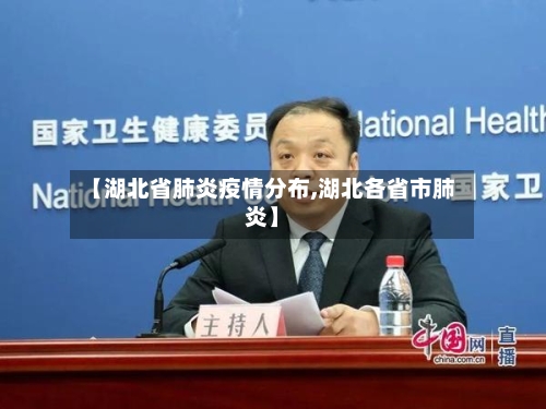 【湖北省肺炎疫情分布,湖北各省市肺炎】-第2张图片