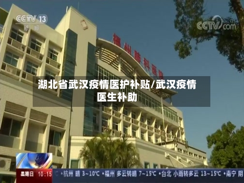 湖北省武汉疫情医护补贴/武汉疫情医生补助-第1张图片