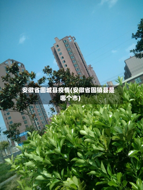 安徽省固城县疫情(安徽省固镇县是哪个市)-第3张图片