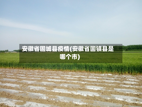 安徽省固城县疫情(安徽省固镇县是哪个市)-第1张图片