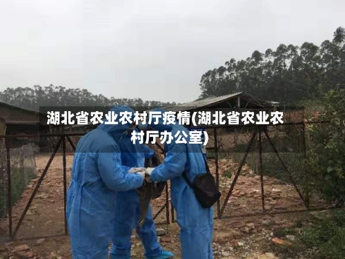 湖北省农业农村厅疫情(湖北省农业农村厅办公室)-第1张图片