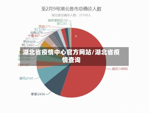 湖北省疫情中心官方网站/湖北省疫情查询-第3张图片