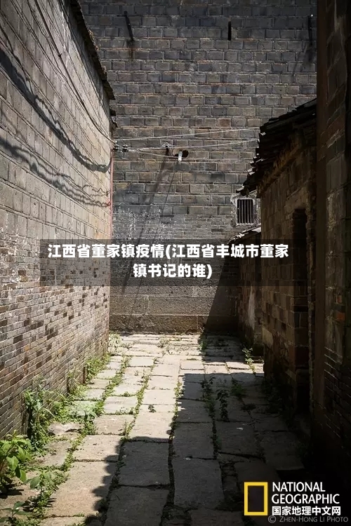 江西省董家镇疫情(江西省丰城市董家镇书记的谁)-第1张图片