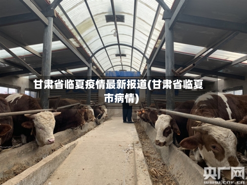 甘肃省临夏疫情最新报道(甘肃省临夏市病情)-第1张图片