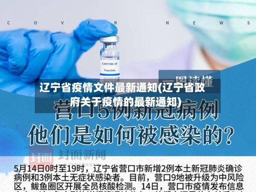 辽宁省疫情文件最新通知(辽宁省政府关于疫情的最新通知)-第2张图片