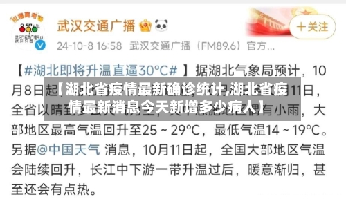 【湖北省疫情最新确诊统计,湖北省疫情最新消息今天新增多少病人】-第1张图片