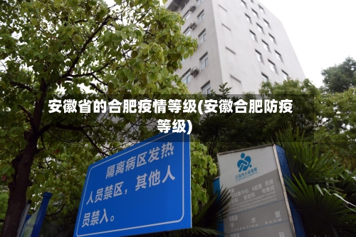 安徽省的合肥疫情等级(安徽合肥防疫等级)-第1张图片