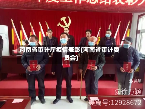 河南省审计厅疫情表彰(河南省审计委员会)-第1张图片