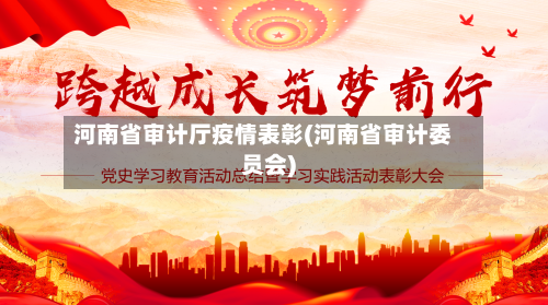 河南省审计厅疫情表彰(河南省审计委员会)-第3张图片