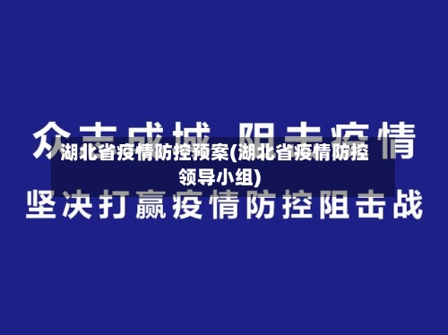 湖北省疫情防控预案(湖北省疫情防控领导小组)-第1张图片