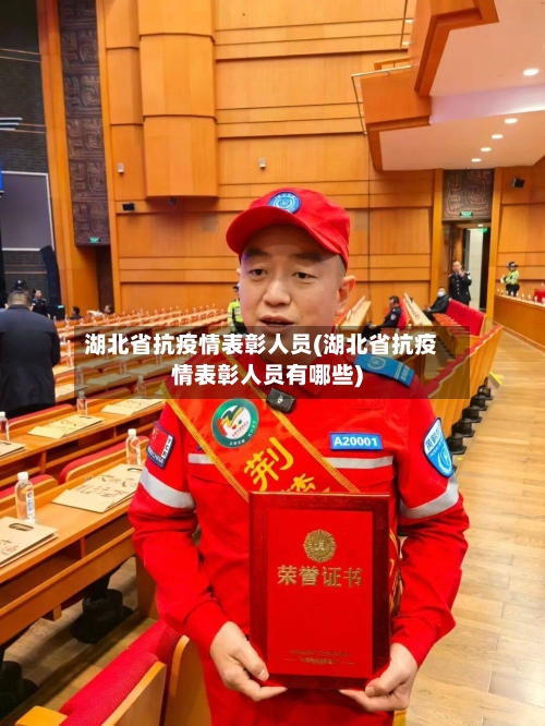湖北省抗疫情表彰人员(湖北省抗疫情表彰人员有哪些)-第3张图片
