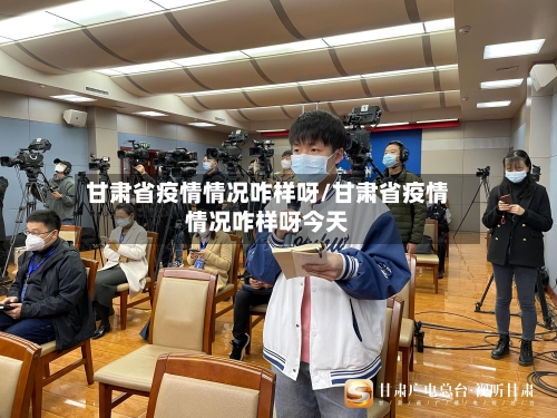 甘肃省疫情情况咋样呀/甘肃省疫情情况咋样呀今天-第2张图片