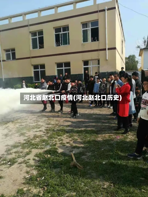 河北省赵北口疫情(河北赵北口历史)-第2张图片
