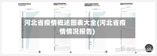 河北省疫情概述图表大全(河北省疫情情况报告)-第2张图片