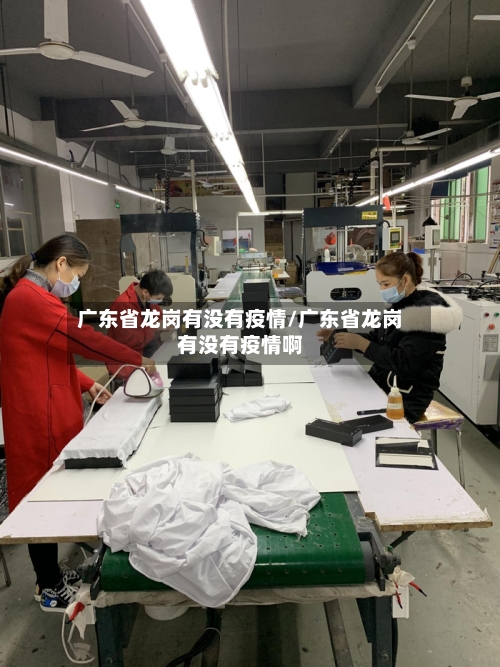 广东省龙岗有没有疫情/广东省龙岗有没有疫情啊-第1张图片