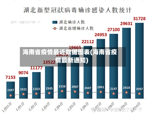 海南省疫情最近数据图表(海南省疫情最新通知)-第3张图片