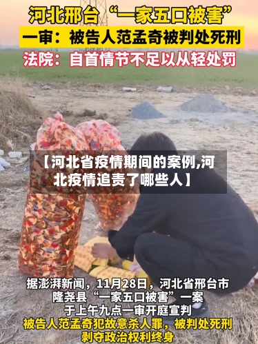 【河北省疫情期间的案例,河北疫情追责了哪些人】-第2张图片