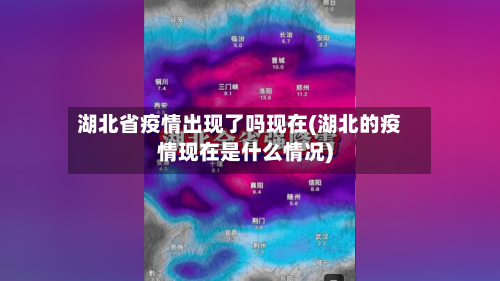 湖北省疫情出现了吗现在(湖北的疫情现在是什么情况)-第2张图片