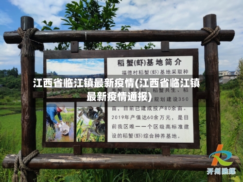 江西省临江镇最新疫情(江西省临江镇最新疫情通报)-第2张图片