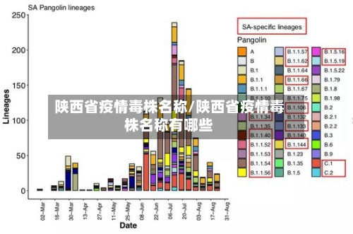 陕西省疫情毒株名称/陕西省疫情毒株名称有哪些-第2张图片