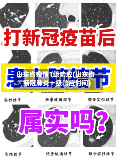 山东省疫情1级响应(山东省新冠肺炎一级响应时间)-第1张图片