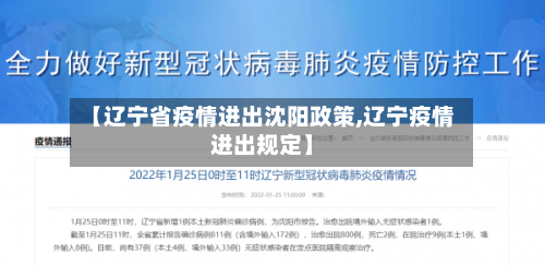 【辽宁省疫情进出沈阳政策,辽宁疫情进出规定】-第2张图片
