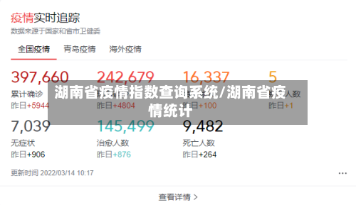 湖南省疫情指数查询系统/湖南省疫情统计-第3张图片