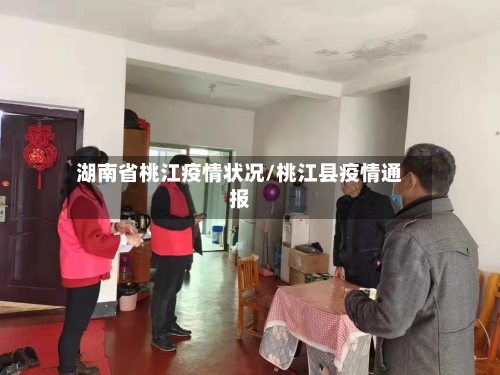 湖南省桃江疫情状况/桃江县疫情通报-第2张图片