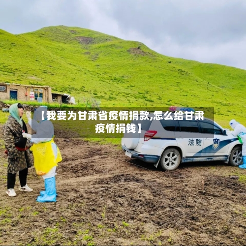 【我要为甘肃省疫情捐款,怎么给甘肃疫情捐钱】-第2张图片