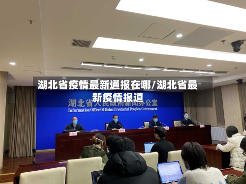 湖北省疫情最新通报在哪/湖北省最新疫情报道-第1张图片