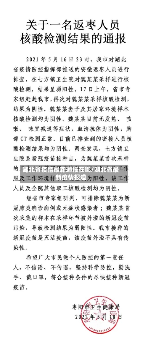 湖北省疫情最新通报在哪/湖北省最新疫情报道-第3张图片
