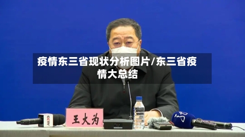 疫情东三省现状分析图片/东三省疫情大总结-第3张图片