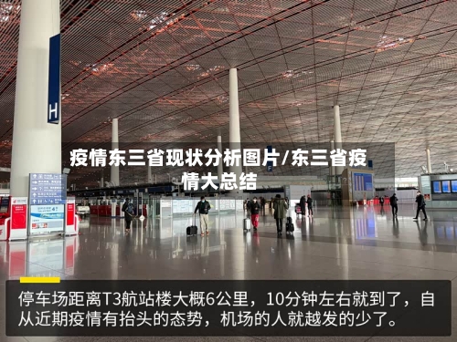 疫情东三省现状分析图片/东三省疫情大总结-第2张图片