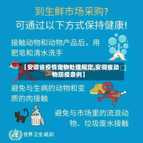 【安徽省疫情宠物处理规定,安徽省动物防疫条例】-第3张图片