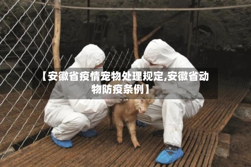 【安徽省疫情宠物处理规定,安徽省动物防疫条例】-第2张图片
