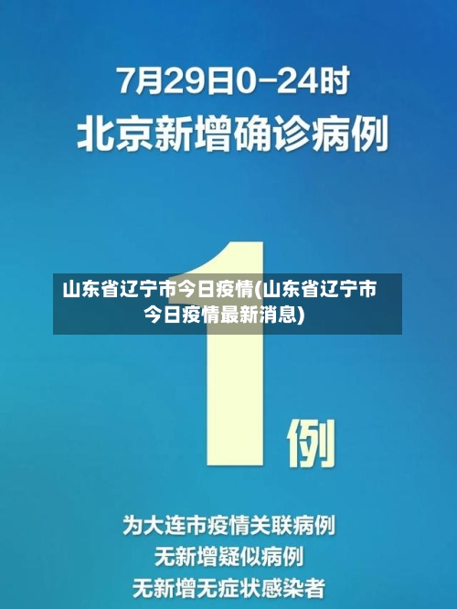 山东省辽宁市今日疫情(山东省辽宁市今日疫情最新消息)-第1张图片