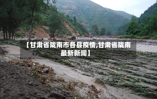 【甘肃省陇南市各县疫情,甘肃省陇南最新新闻】-第1张图片