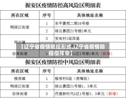 【辽宁省疫情防控形式,辽宁省疫情防控指挥令】-第1张图片