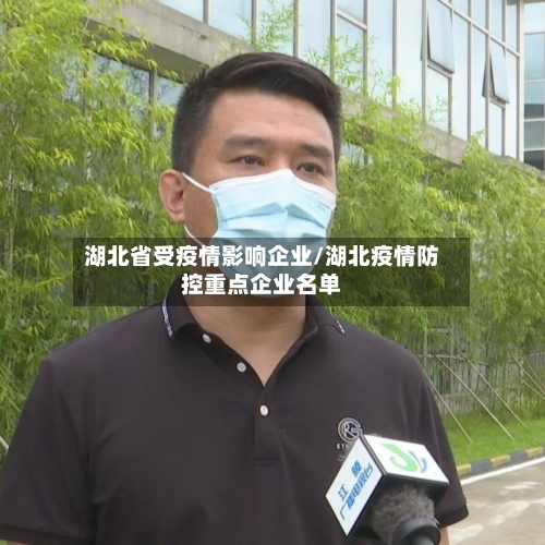 湖北省受疫情影响企业/湖北疫情防控重点企业名单-第1张图片