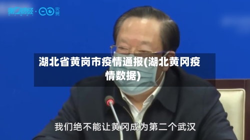 湖北省黄岗市疫情通报(湖北黄冈疫情数据)-第1张图片