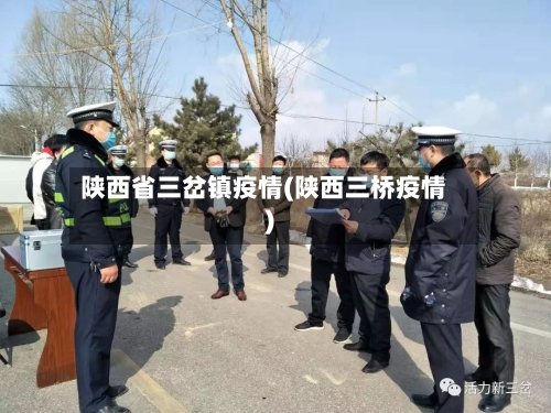 陕西省三岔镇疫情(陕西三桥疫情)-第3张图片