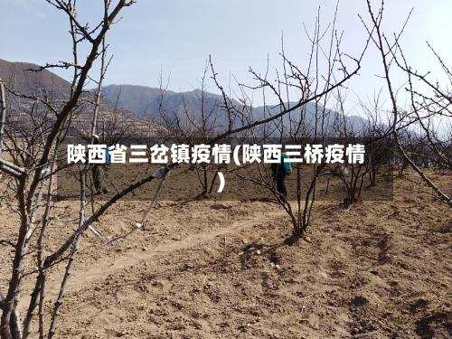 陕西省三岔镇疫情(陕西三桥疫情)-第2张图片
