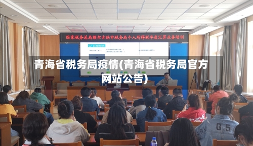 青海省税务局疫情(青海省税务局官方网站公告)-第3张图片
