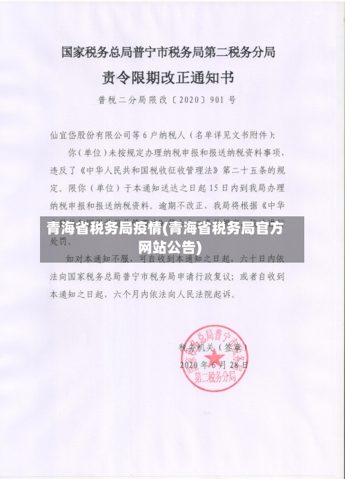 青海省税务局疫情(青海省税务局官方网站公告)-第1张图片