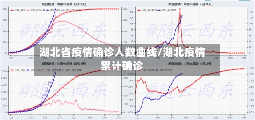 湖北省疫情确诊人数曲线/湖北疫情累计确诊-第3张图片