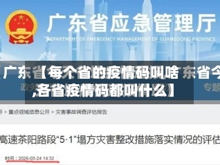 【每个省的疫情码叫啥,各省疫情码都叫什么】-第1张图片