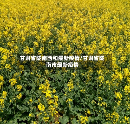 甘肃省陇南西和最新疫情/甘肃省陇南市最新疫情-第2张图片