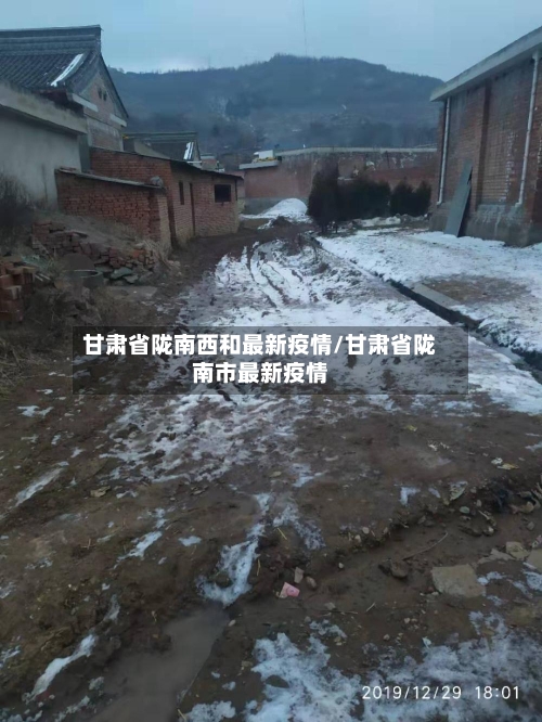 甘肃省陇南西和最新疫情/甘肃省陇南市最新疫情-第3张图片