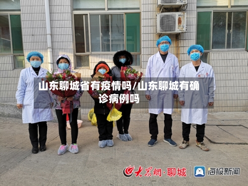 山东聊城省有疫情吗/山东聊城有确诊病例吗-第3张图片