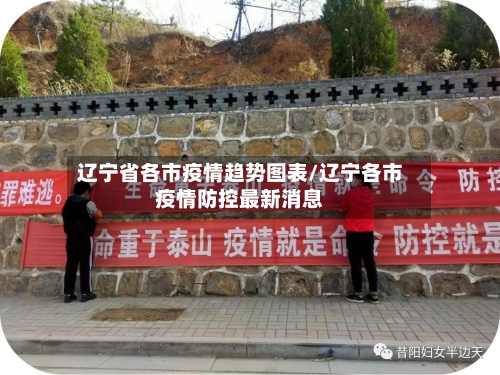 辽宁省各市疫情趋势图表/辽宁各市疫情防控最新消息-第3张图片